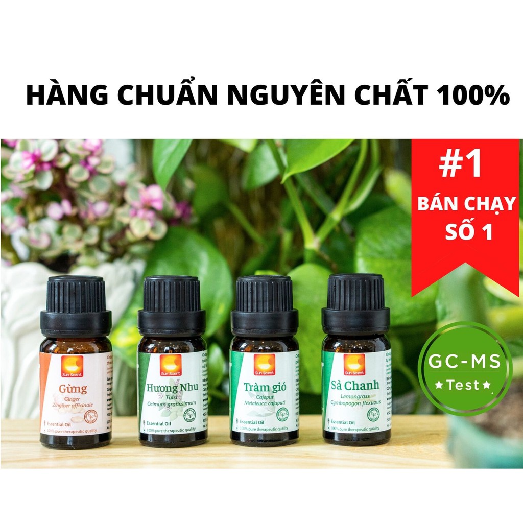 essential oil Sả chanh, Bạc Hà, Quế, Tràm Gió..