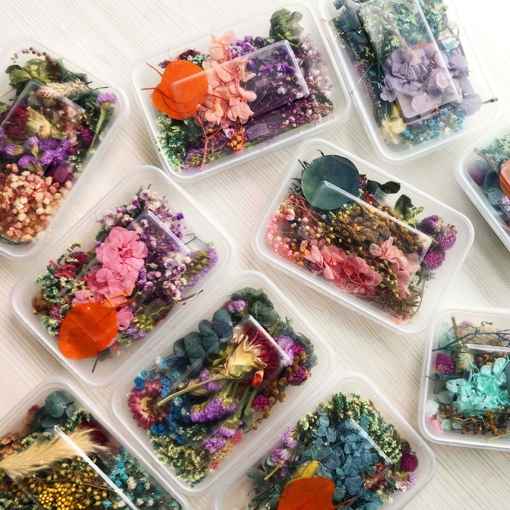 ❤️ Hộp hoa khô vĩnh cửu hỗn hợp 6 loại hoa ❤️ hoa khô nguyên liệu handmade ❤️ Resin ❤️ cài tóc❤️