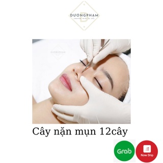 Cây Nặn Mụn 2 Đầu (lẻ 1 cây )
