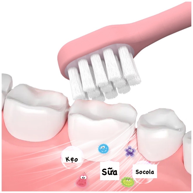 SET 8 Bàn Chải Xuất Nhật Cho Bé - Bàn Chải Đánh Răng Trẻ Em Tiêu Chuẩn Nhật Bản,Lông chải siêu mềm cho bé 2-7 tuổi