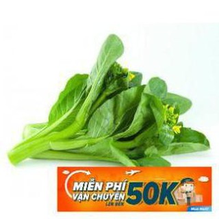 20g Hạt giống Cải ngồng