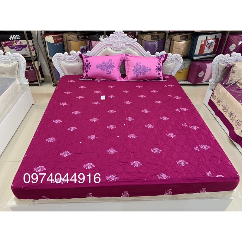 Bộ ga chun hàng Sông Hồng 100% cotton m8x 2m
