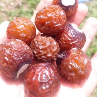 1kg bồ hòn tách hạt loại 1 làm nước rửa chén sinh học