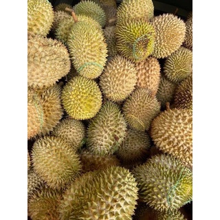 5kg Sầu riêng rụng