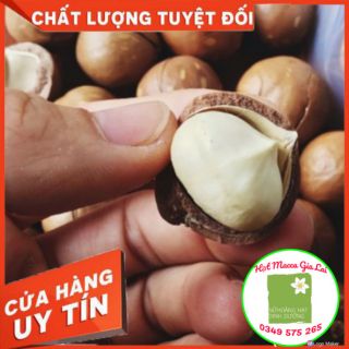 HẠT MACCA GIA LAI