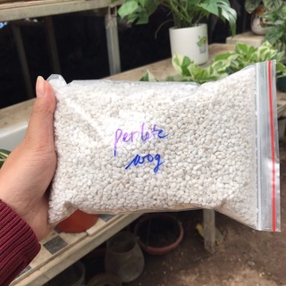 🔥[FREESHIP]🔥 ĐÁ CHÂN TRÂU,🌸 PERLITE TRỘN VỚI ĐẤT TRỒNG, TẠO ĐỘ THÔNG THOÁNG CHO CÂY TRỒNG