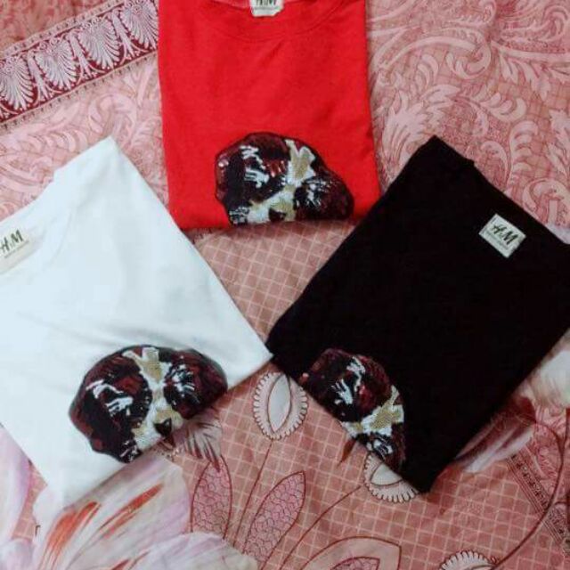 Combo 10 ao Kim sa