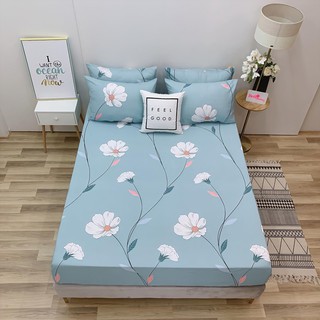 9.GA GỐI LẺ COTTON LỤA ( ảnh shop tự chụp )