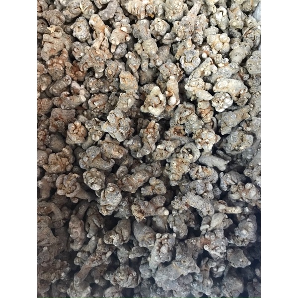Củ Tam Thất Bắc 500Gr [hàng 50củ/1kg]