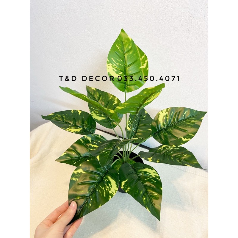 Cây giả decor- Cây lá đốm 30cm