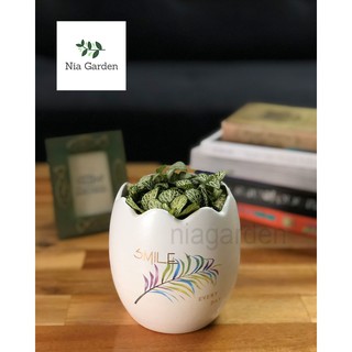 Chậu cây gốm sứ in – trứng nhỏ mini