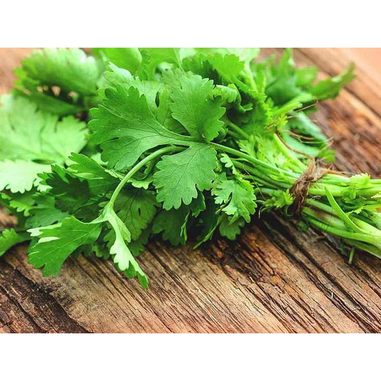 Lá ngò rí sấy khô hũ dùng tiện lợi-Cilantro leaves