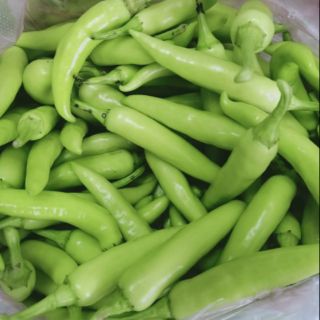 Ớt xanh rất cay và thơm,ớt Huế 1kg