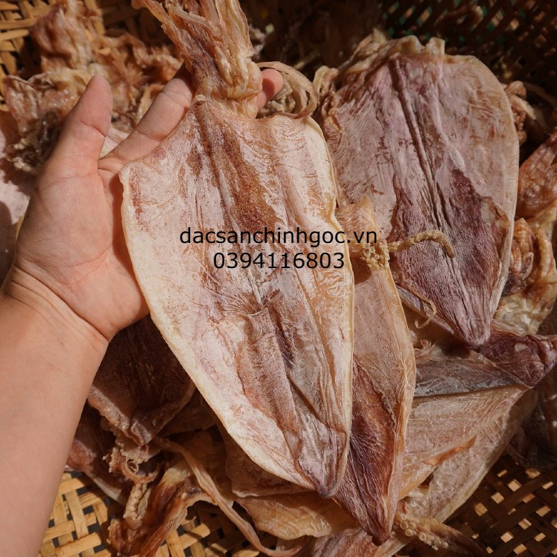 mực khô  FREESHIP  mực khô câu đặc sản nổi tiếng Đà Nẵng 500g nhiều size dễ lựa chọn