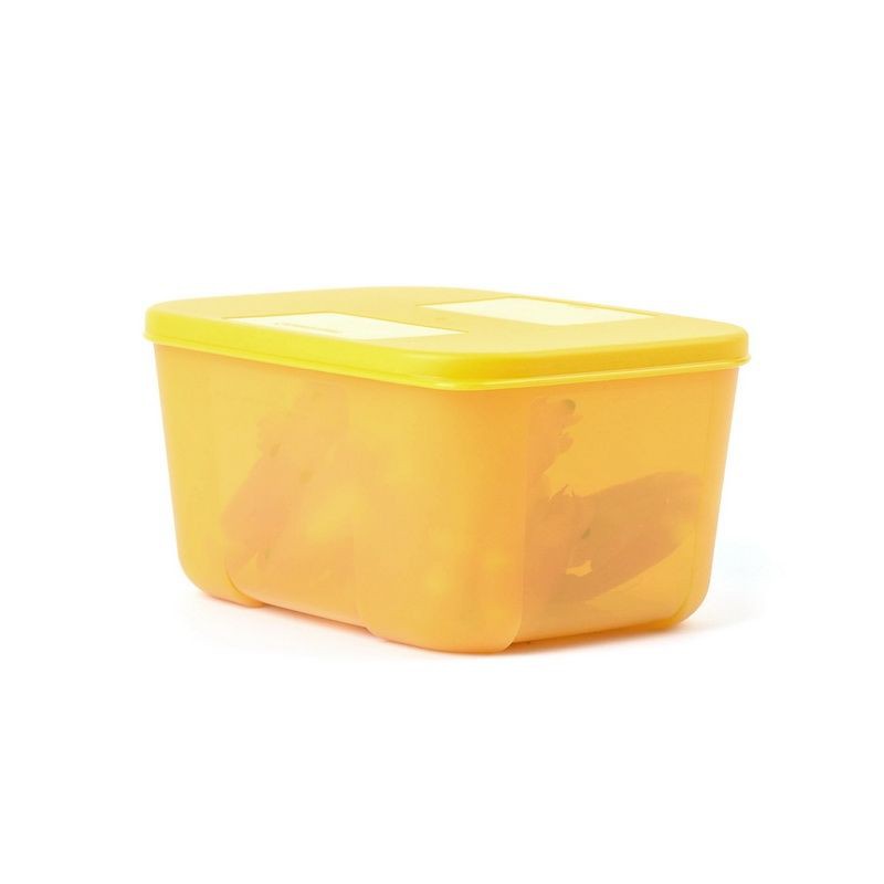 Tupperware Hộp Trữ Đông Thực Phẩm Trong Tủ Lạnh Hộp Chữ Nhật Nhiều Màu 700ml TU20 | BigBuy360 - bigbuy360.vn