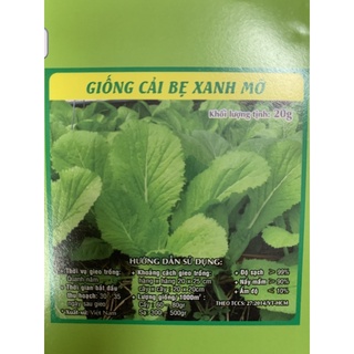 Hạt giống Cải bẹ xanh mỡ