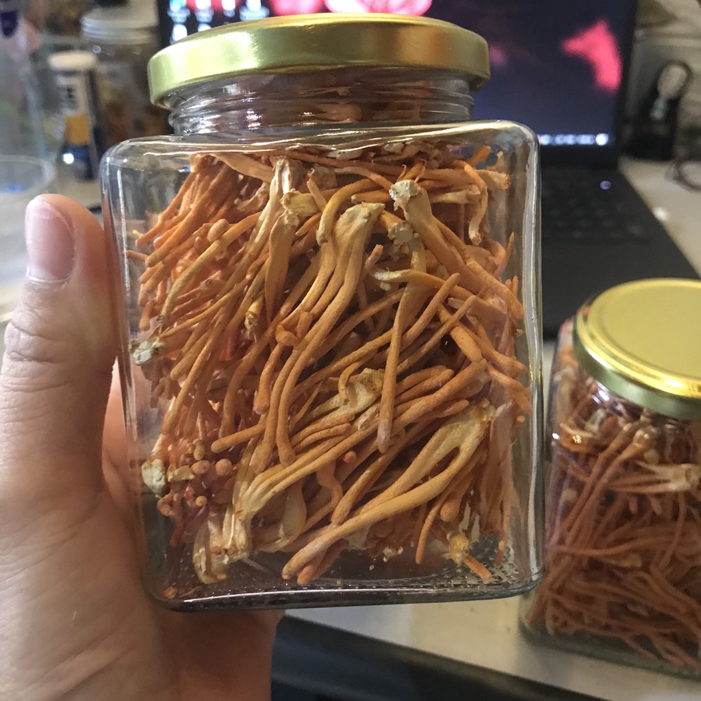 Đông Trùng Hạ Thảo Bio Gold  Sấy Khô Sợi To  Ngon Hàng Cao Cấp Bồi Bổ Cơ Thể
