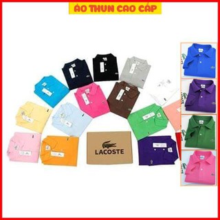 Áo phong NỮ vải cá sấu cotton co giãn 4 chiều hàng cao cấp