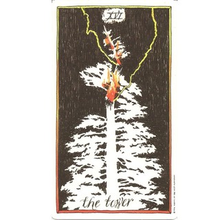 Wild Unknown Tarot (Mystic House Tarot Shop) - Bài Gốc Authentic Chính Hãng 100%