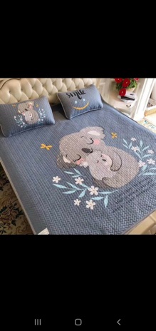 Chiếu điều hoà tencel mát lạnh ( đủ size m6, m8)