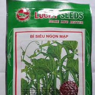Hạt giống bí siêu ngọn mập (20G)