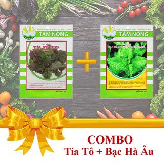 [Combo 2 Gói Hạt Giống] Rau Tía Tô + Bạc Hà Âu