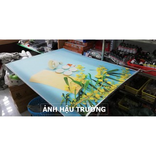 Phông nền 3D chụp ảnh sản phẩm 19768