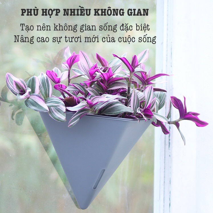 Chậu cây treo tường hình kim tự tháp Oliz-K104. Chậu trồng cây thông minh tự tưới nước