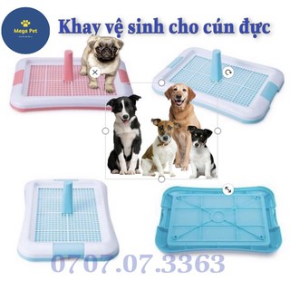KHAY VỆ SINH CHO CHÓ ĐỰC ( 2 SIZE )