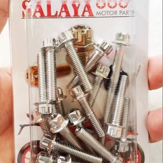 Bộ ốc lốc máy Winner Salaya