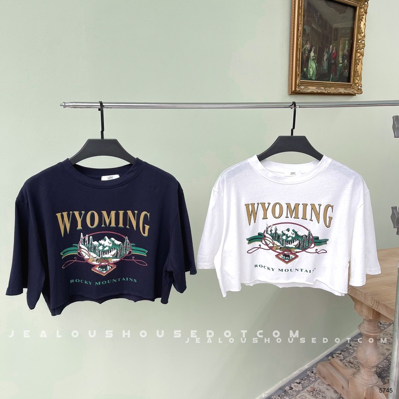 [Mã WASKT304 giảm 15% tối đa 30K đơn 99K] Áo croptop WYOMING 5745