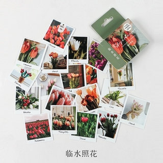 Set 40 miếng dán xinh xắn trang trí đa dụng