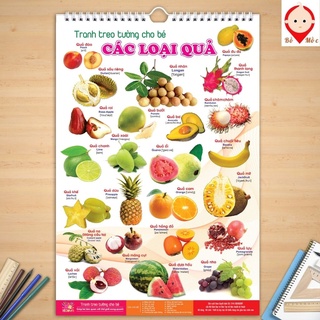 Bộ Tranh Treo Tường Chủ Đề Sống Động Giúp Con Phát Triển Tư Duy Sáng Tạo, Thông Minh - Shop Bố Mốc