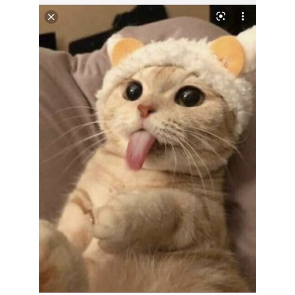 Sebacil CHIẾT LẺ 10ML