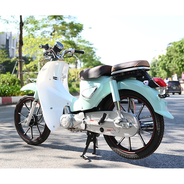 Xe số 50cc Cub 81 Ally New - vành đúc - 2021