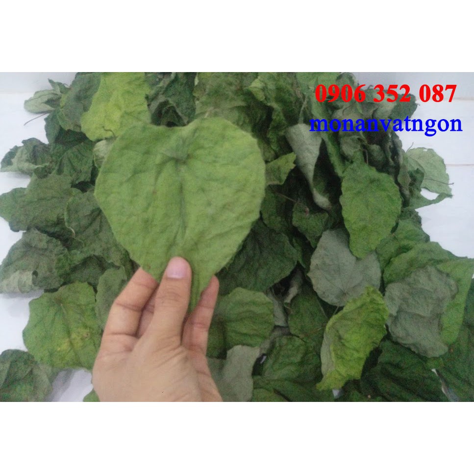 Lá sương sâm lông khô ,500g, có tặng nang mực