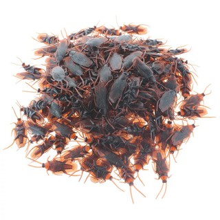 Đồ Chơi Hình Con Gián Độc Đáo
