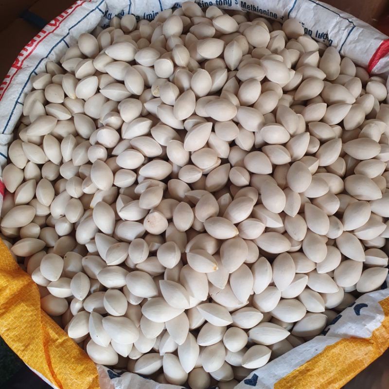 Bạch quả tươi nguyên vỏ 500gr