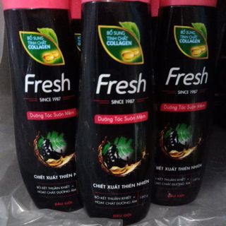 Dầu gội bồ kết Fresh 180g