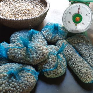 Củ nén (hành tăm-1kg) -Loại 1 - Quảng Bình