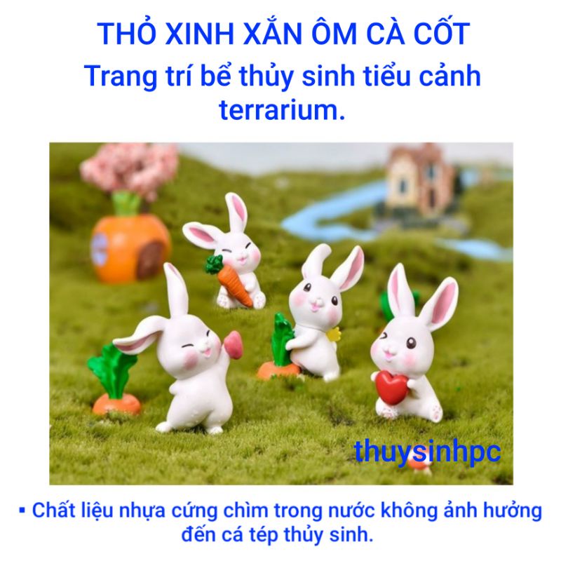 Mô hình thỏ ôm cà rốt xinh xắn trang trí bể thủy sinh cá cảnh