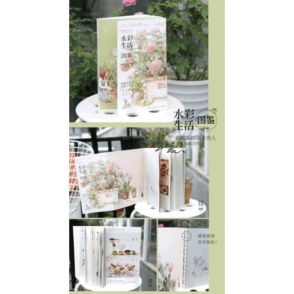 Tập ABOOK vẽ Màu nước Tĩnh vật, Cuộc sống thường nhật