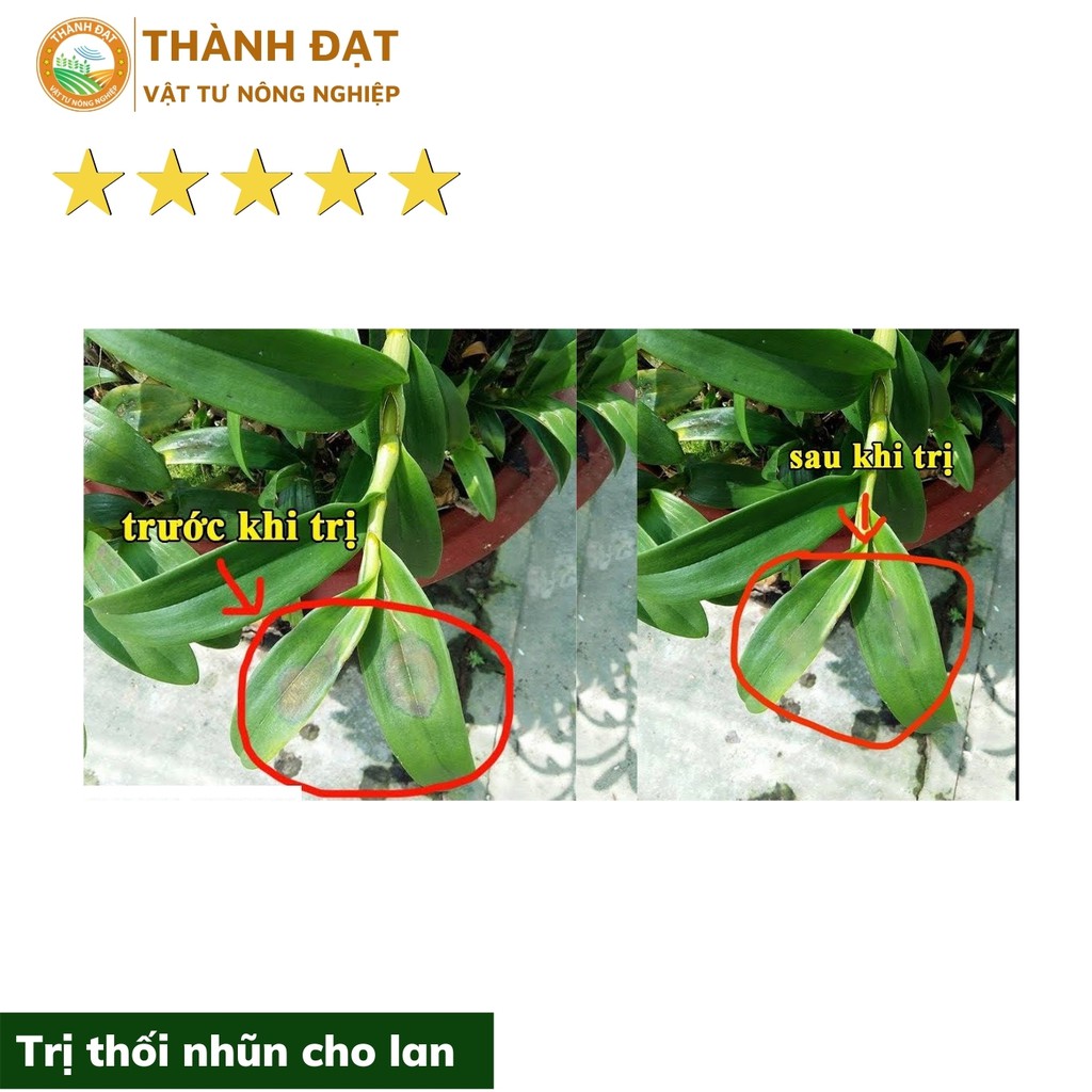 Thuốc chống thối nhũn cho lan hàng thái lan (captan)