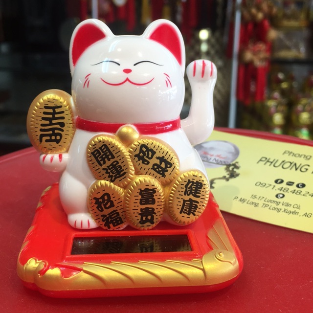 MÈO NGOẮC KHÁCH
