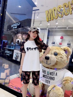 Set Gấu Bear