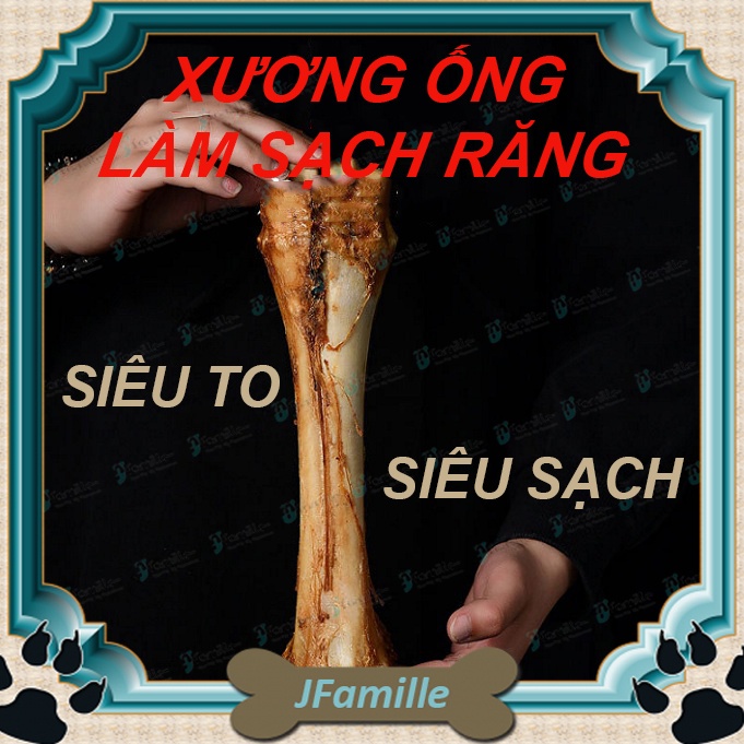 [KHỔNG LỒ]Xương Ống Gặm Sạch Răng JFamille, Siêu To, Loại Bỏ Mảng Bám, Chống Cắn Phá, Bổ Sung Canxi. JF160