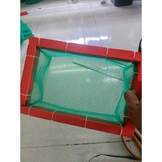 Lồng đẻ cho guppy đủ kích thước