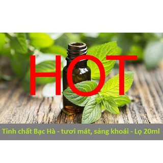 Combo 03 Lọ tinh dầu Bạc hà cao cấp 20ml