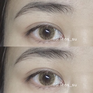 Lens vassen hàn quốc