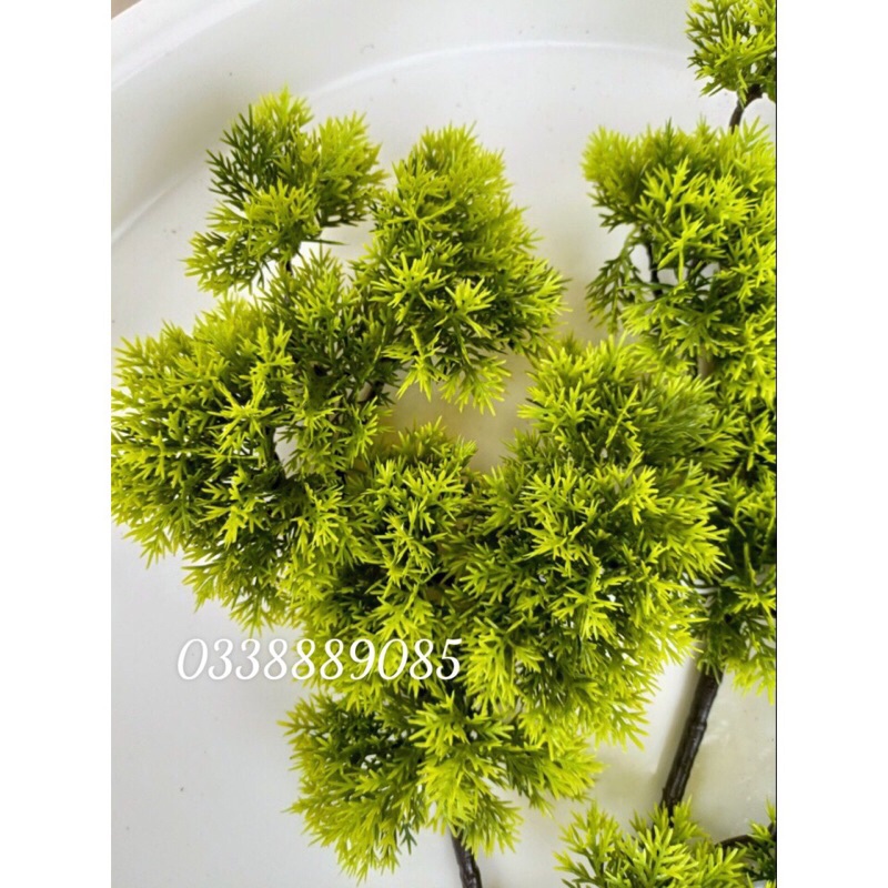 (ẢNH THẬT) Cành tùng, cành thông giả làm cây - trang trí tiểu cảnh - cây hoa giả, hàng sẵn kho